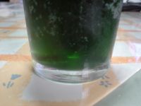 確かに深緑!! 0627