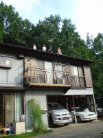 屋根の上 0831